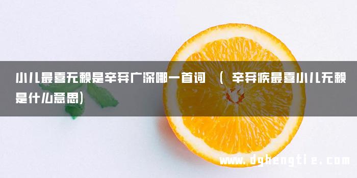 小儿最喜无赖是辛弃广深哪一首词 (辛弃疾最喜小儿无赖是什么意思)